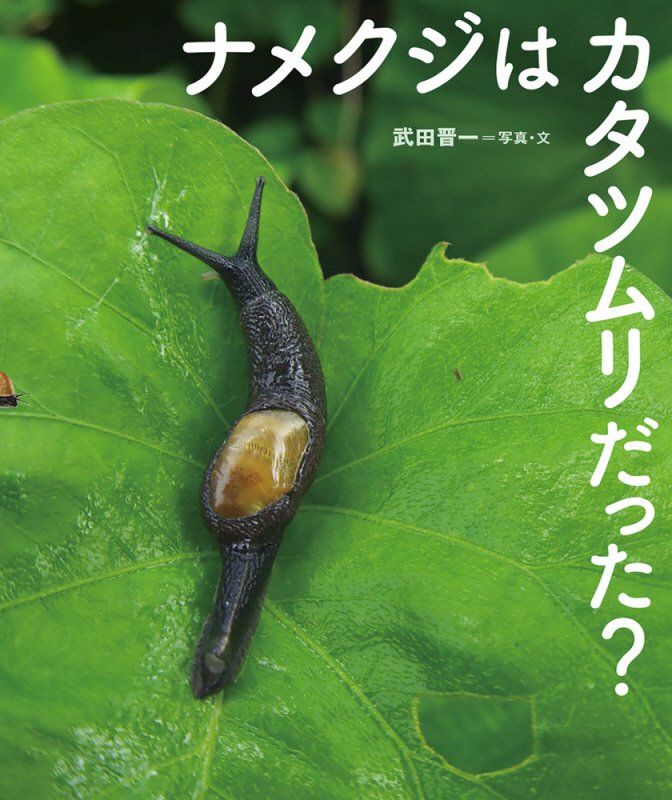 ナメクジはカタツムリだった？　　（ちしきのぽけっと）