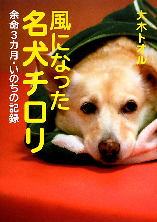 風になった名犬チロリ　余命３カ月・いのちの記録　　（ノンフィクション・生きるチカラ）