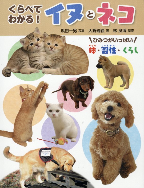 くらべてわかる！イヌとネコ　ひみつがいっぱい体・習性・くらし　　（調べる学習百科）