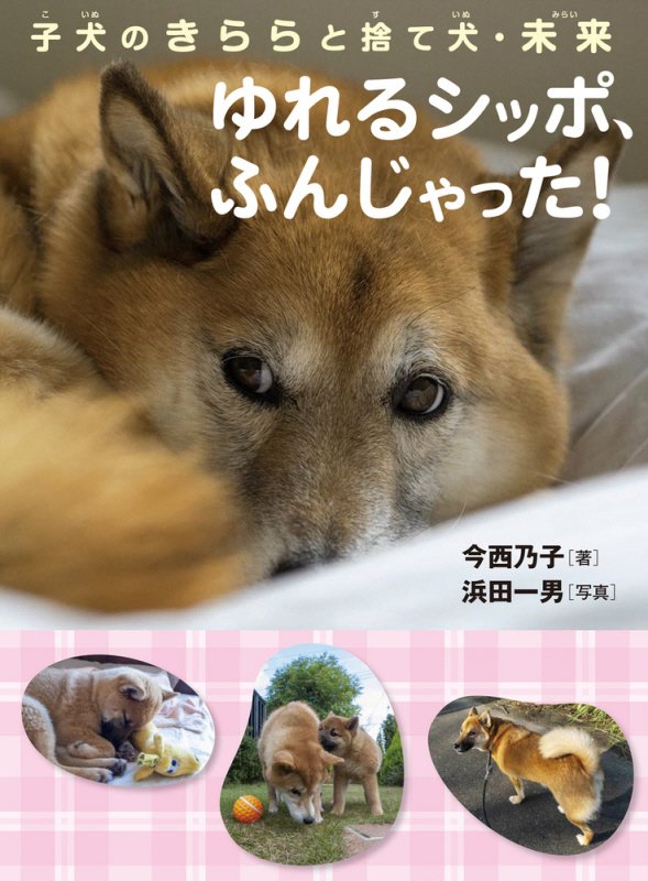 ゆれるシッポ、ふんじゃった！　子犬のきららと捨て犬・未来　