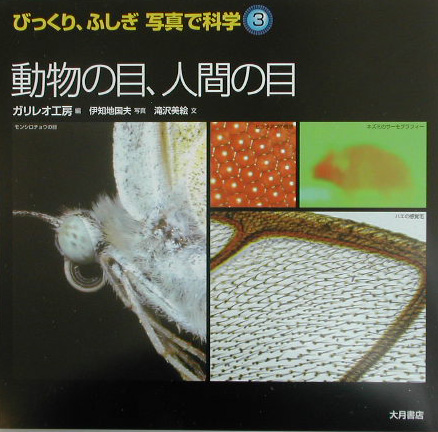 びっくり、ふしぎ写真で科学　３　　（びっくり、ふしぎ写真で科学）