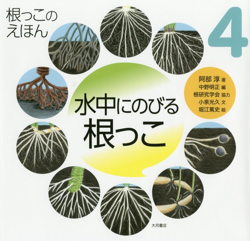 根っこのえほん　４　水中にのびる根っこ