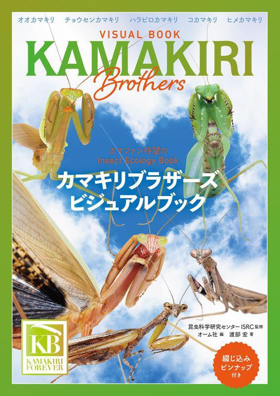 カマキリブラザーズビジュアルブック　Ｉｎｓｅｃｔ　Ｅｃｏｌｏｇｙ　Ｂｏｏｋ　