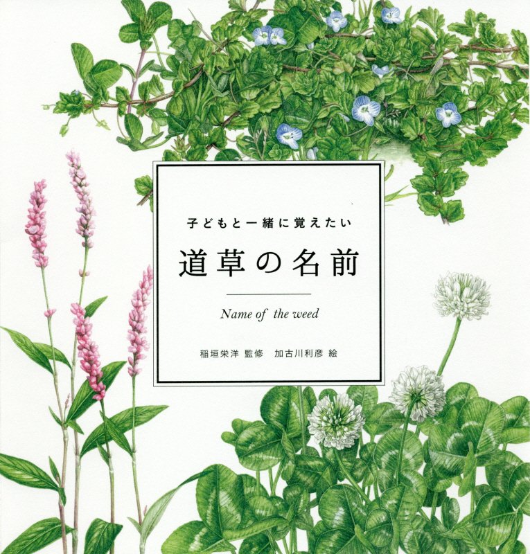 子どもと一緒に覚えたい道草の名前　　（ｍｏｍｏ　ｂｏｏｋ）