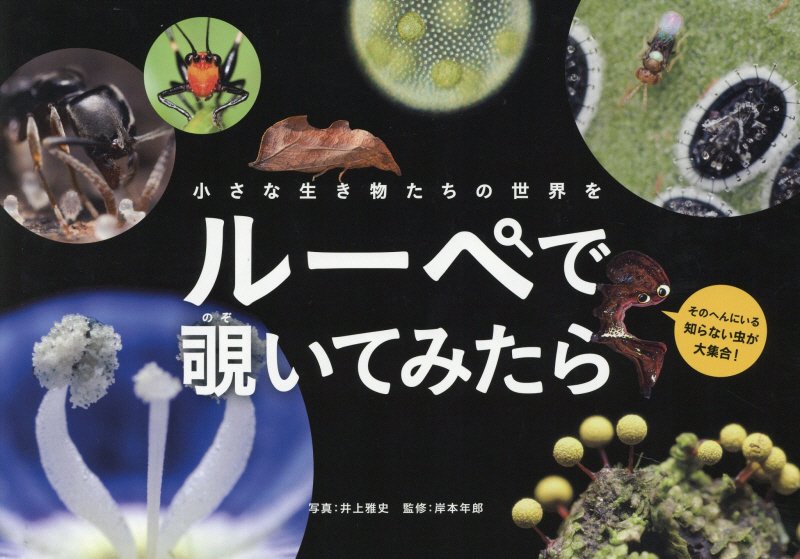小さな生き物たちの世界をルーペで覗いてみたら　　（ｍｏｍｏ　ｂｏｏｋ）
