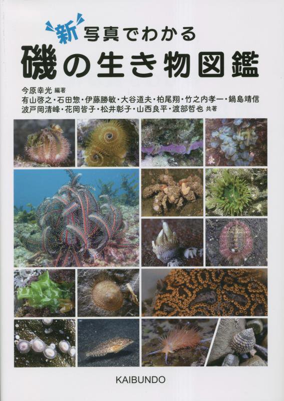 新写真でわかる磯の生き物図鑑　