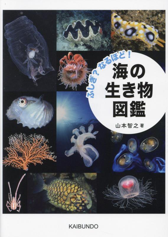 ふしぎ？なるほど！海の生き物図鑑　