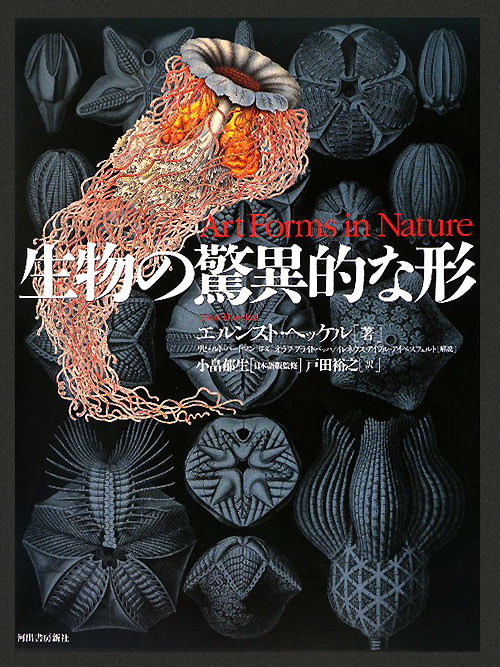 生物の驚異的な形　