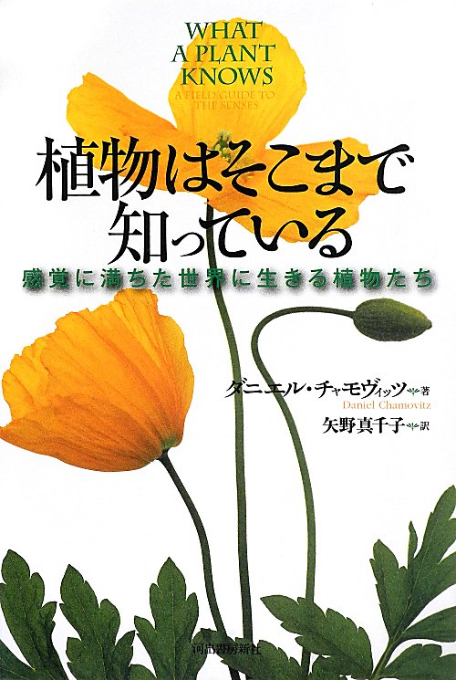 植物はそこまで知っている　感覚に満ちた世界に生きる植物たち　