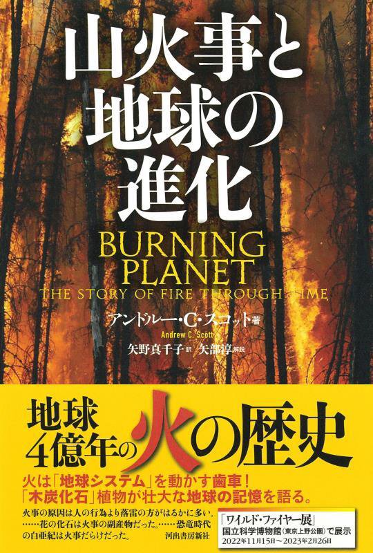 山火事と地球の進化　