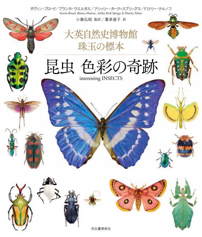 昆虫色彩の奇跡　大英自然史博物館珠玉の標本　