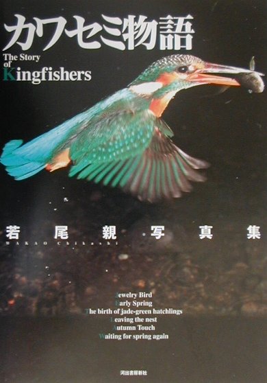 カワセミ物語　若尾親写真集　