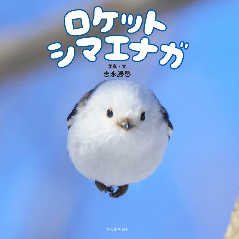 ロケットシマエナガ　