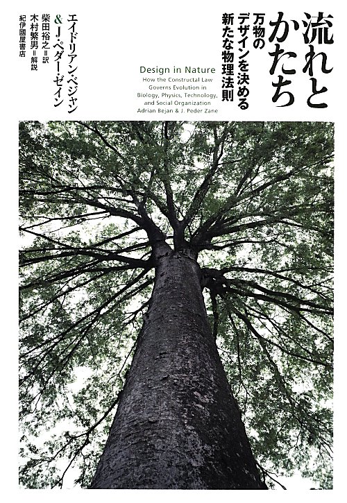 流れとかたち　万物のデザインを決める新たな物理法則　