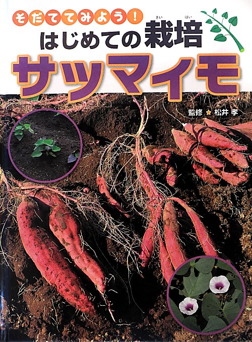 サツマイモ　　（そだててみよう！はじめての栽培）