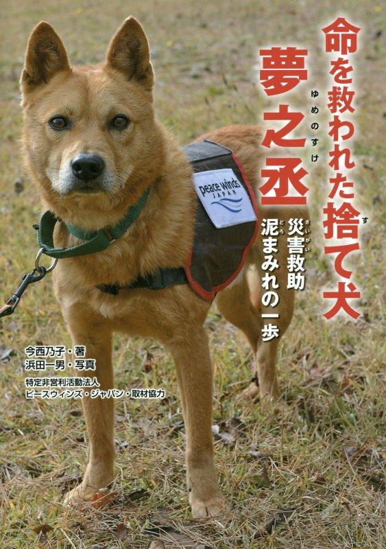 命を救われた捨て犬夢之丞　災害救助泥まみれの一歩　　（ノンフィクション知られざる世界）