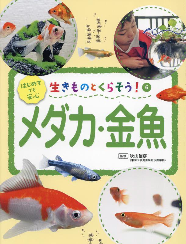 生きものとくらそう！　６　メダカ・金魚