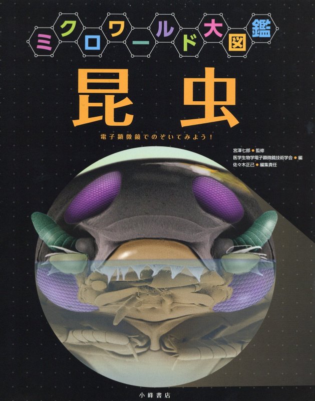昆虫　電子顕微鏡でのぞいてみよう！　　（ミクロワールド大図鑑）