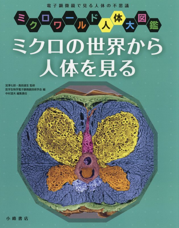 ミクロの世界から人体を見る　電子顕微鏡で見る人体の不思議　　（ミクロワールド人体大図鑑）