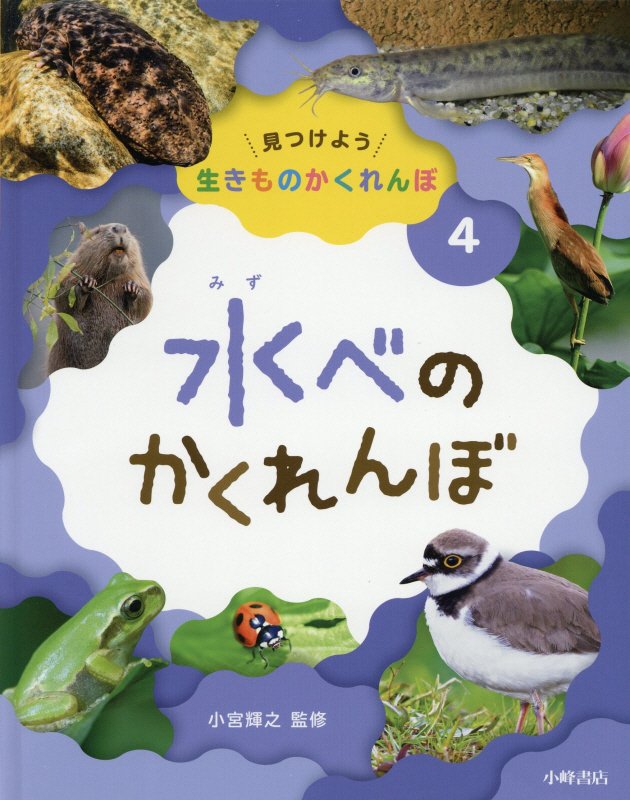 見つけよう生きものかくれんぼ　４　水べのかくれんぼ