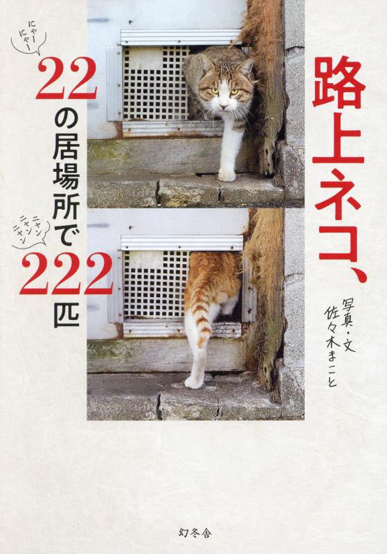 路上ネコ、２２の居場所で２２２匹　