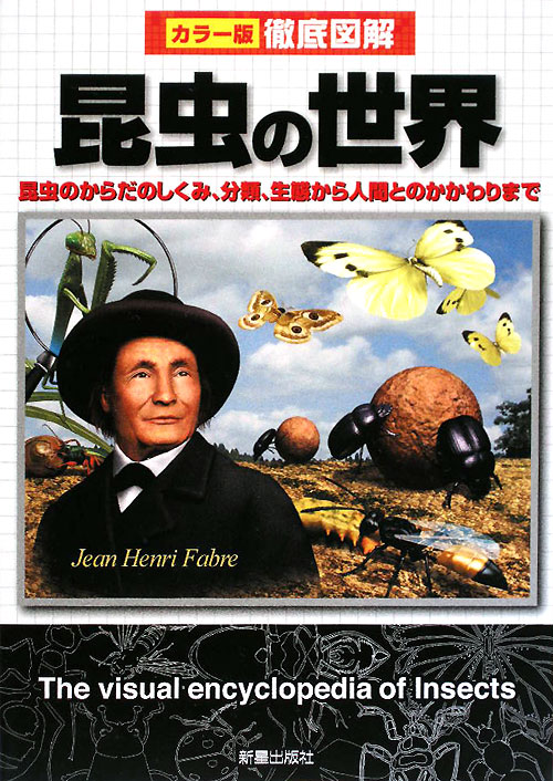 徹底図解昆虫の世界　カラー版　昆虫のからだのしくみ、分類、生態から人間とのかかわりまで　