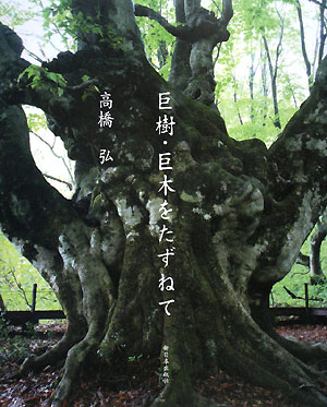 巨樹・巨木をたずねて　