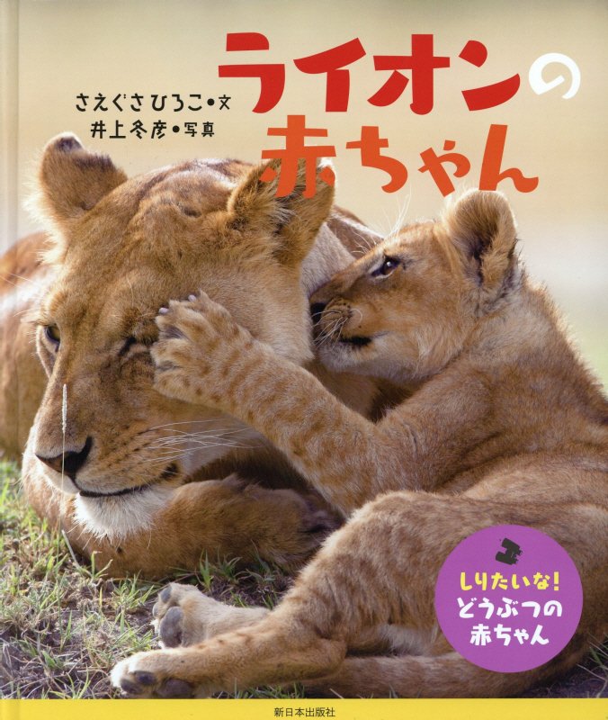 ライオンの赤ちゃん　　（しりたいな！どうぶつの赤ちゃん）