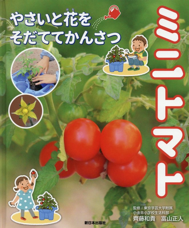 ミニトマト　　（やさいと花をそだててかんさつ）