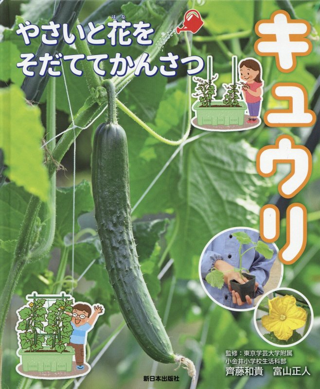 キュウリ　　（やさいと花をそだててかんさつ）