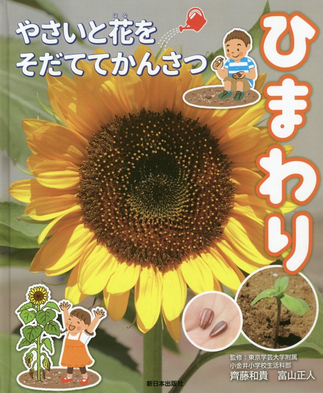 ひまわり　　（やさいと花をそだててかんさつ）