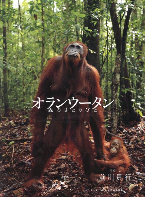 オランウータン　森のさとりびと　