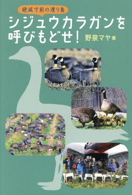 絶滅寸前の渡り鳥シジュウカラガンを呼びもどせ！　