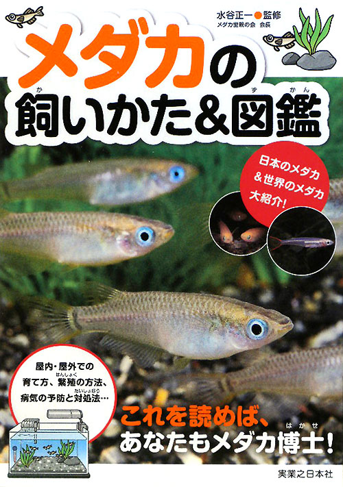 メダカの飼いかた＆図鑑　
