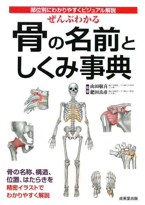 ぜんぶわかる骨の名前としくみ事典　部位別にわかりやすくビジュアル解説　