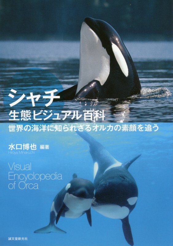 シャチ生態ビジュアル百科　世界の海洋に知られざるオルカの素顔を追う　