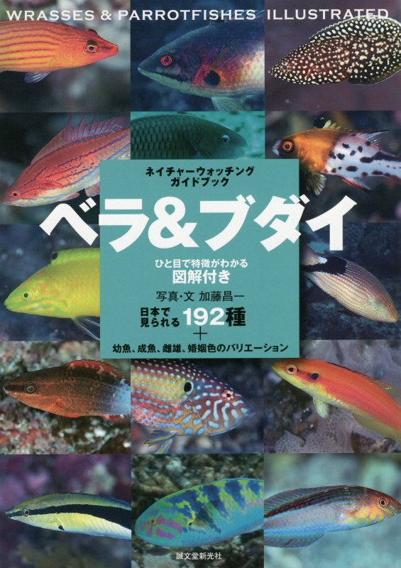 ベラ＆ブダイ　日本で見られる１９２種＋幼魚、成魚、雌雄、婚姻色のバリエーション　　（ネイチャーウォッチングガイドブック）