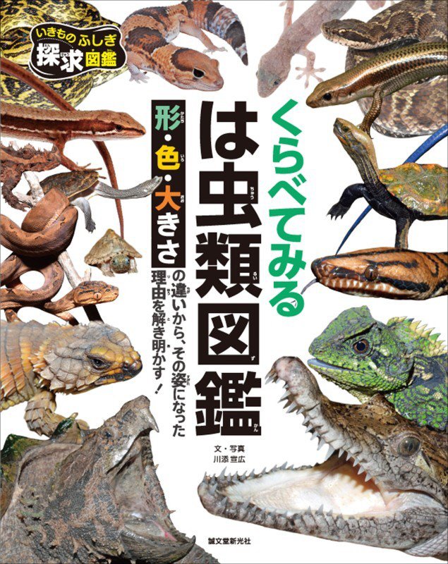 くらべてみるは虫類図鑑　形・色・大きさの違いから、その姿になった理由を解き明かす！　　（いきものふしぎ探求図鑑）