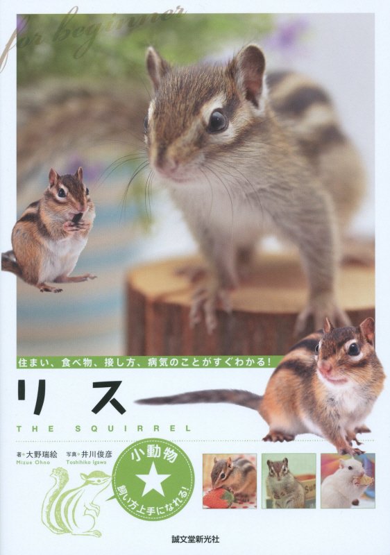 リス　住まい、食べ物、接し方、病気のことがすぐわかる！　　（小動物★飼い方上手になれる！）