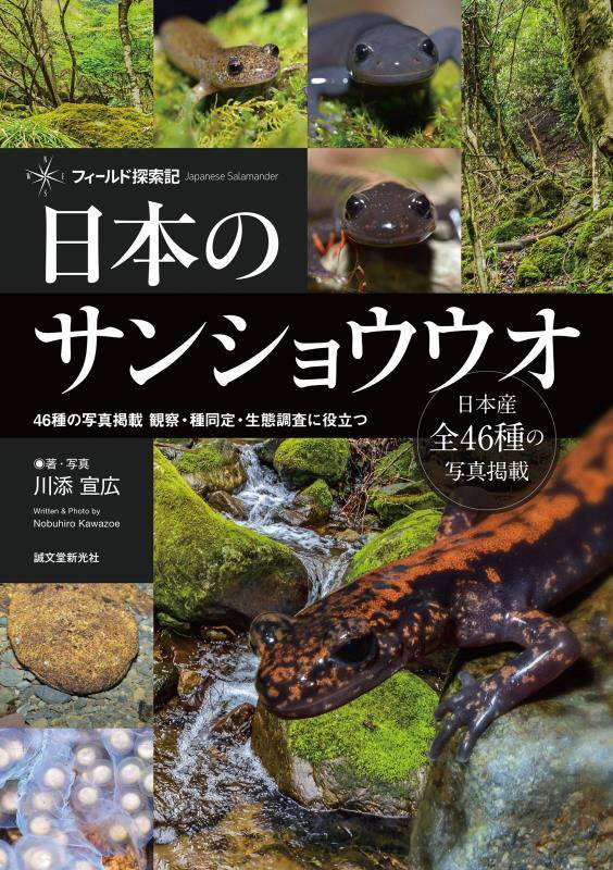 日本のサンショウウオ　フィールド探索記　