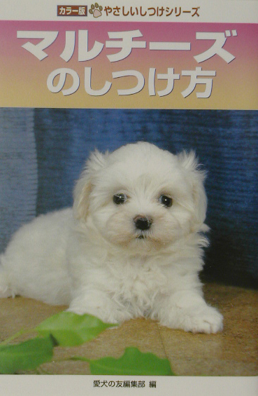 マルチーズのしつけ方　　（やさしいしつけシリーズ　カラー版）
