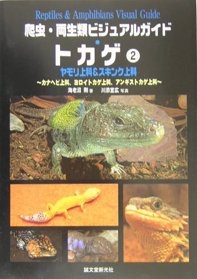トカゲ　２　　（爬虫・両生類ビジュアルガイド）