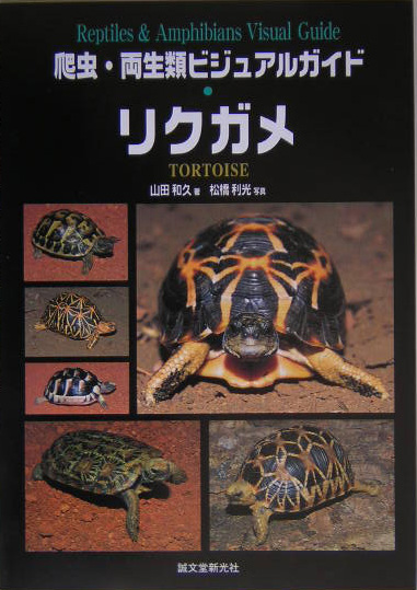 爬虫、両性類ビジュアルガイド　ヘビ　オオトカゲ　リクガメ　水棲ガメ① ② 資料詳細