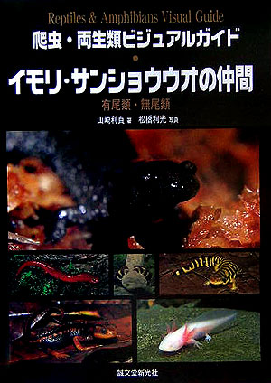 イモリ・サンショウウオの仲間　有尾類・無尾類　　（爬虫・両生類ビジュアルガイド）