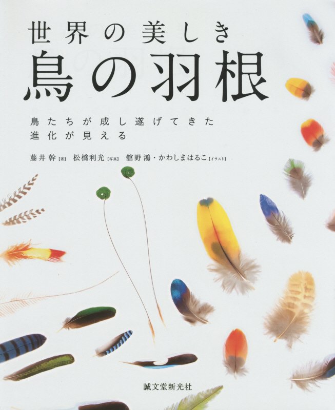 世界の美しき鳥の羽根　鳥たちが成し遂げてきた進化が見える　