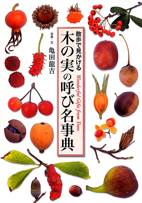 木の実の呼び名事典　散歩で見かける　