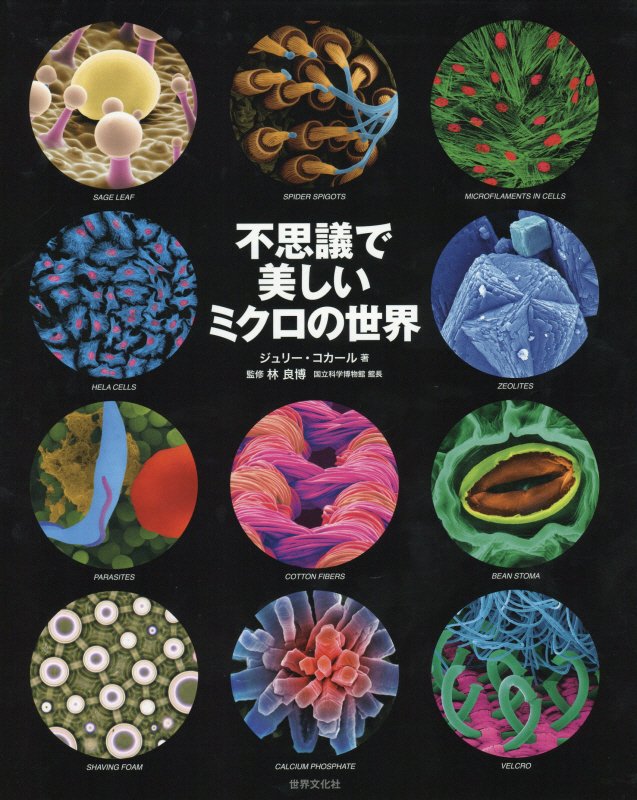 不思議で美しいミクロの世界　