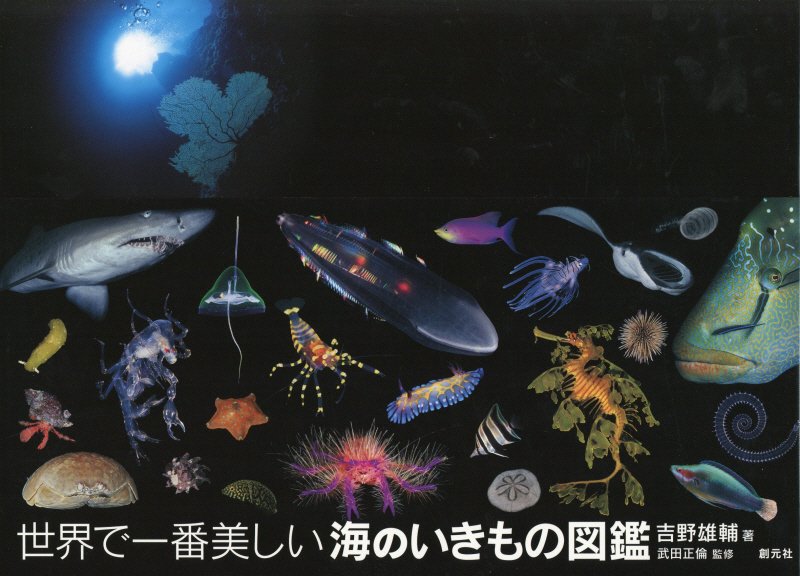 世界で一番美しい海のいきもの図鑑　