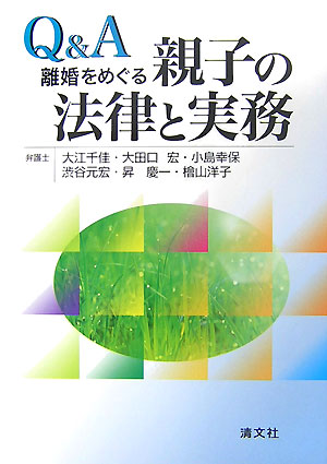 Ｑ＆Ａ離婚をめぐる親子の法律と実務　