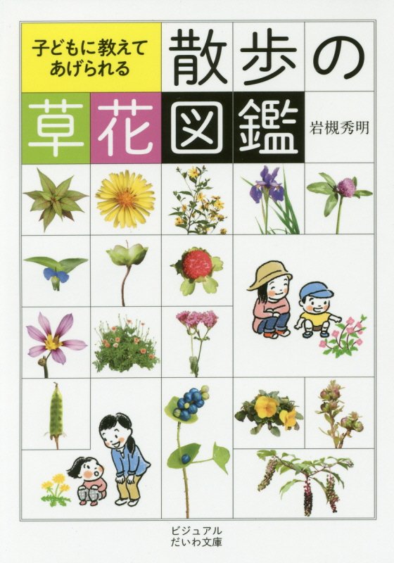 子どもに教えてあげられる散歩の草花図鑑　　（ビジュアルだいわ文庫）
